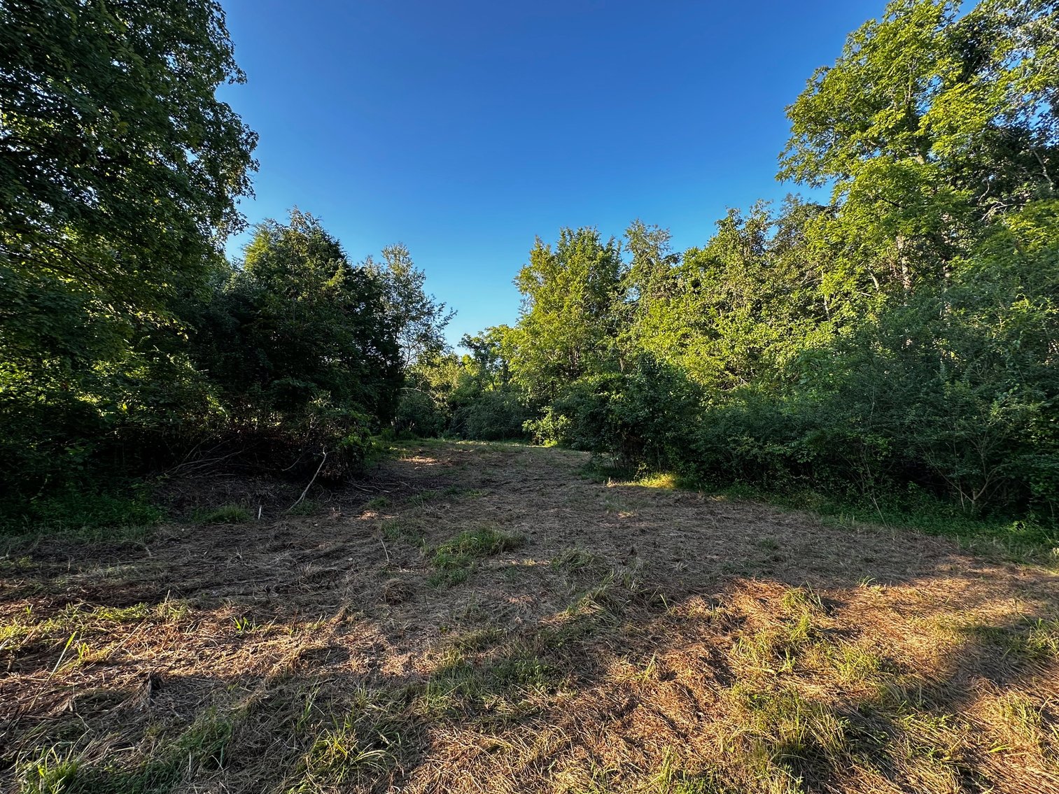 Image for 430 Bard Lane・Greenville