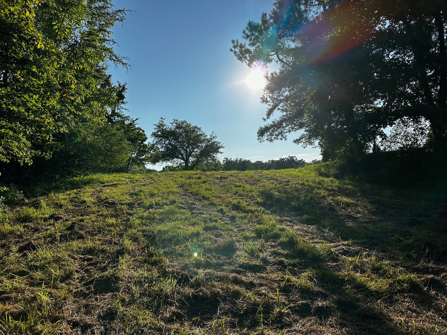 Image for 430 Bard Lane・Greenville