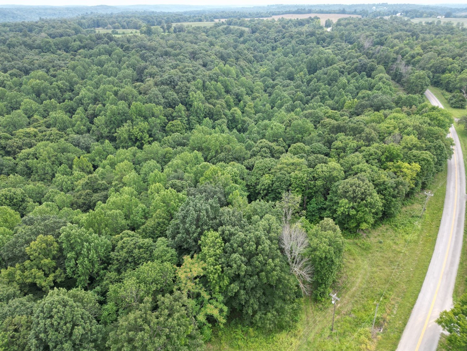 Image for 14.8 +/- Acres・Highway 189・White Plains
