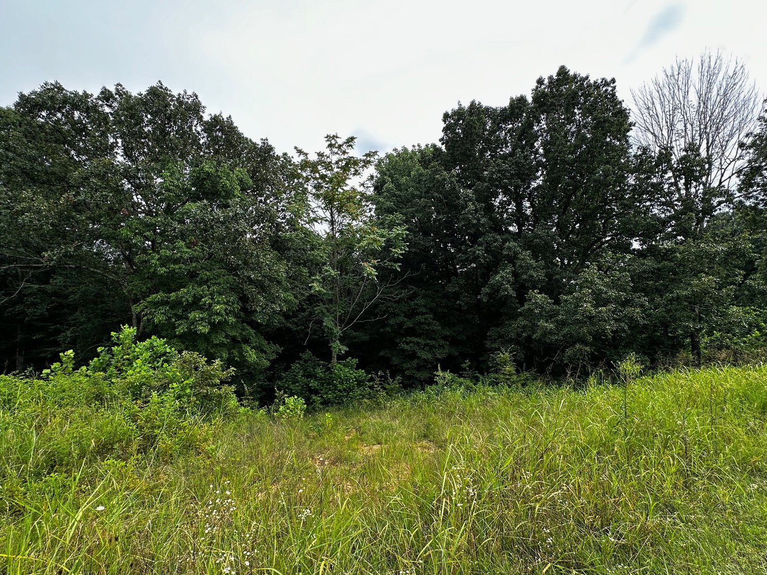 Image for 14.8 +/- Acres・Highway 189・White Plains