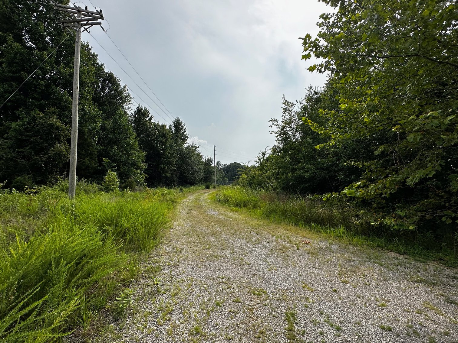 Image for 34.198 +/- Acres・Coal Creek Road・Hopkinsville・KY