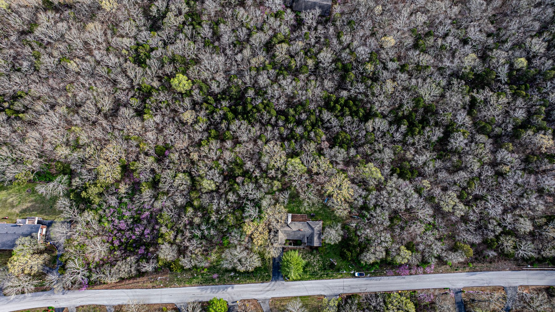 Image for 679 Minnie Way・Bowling Green