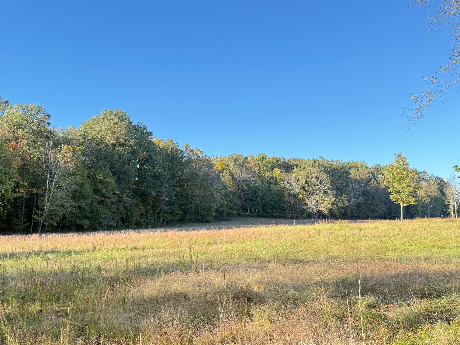 Image for State Route 176・Greenville