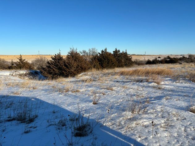 Image for 80+/- Acres in Buffalo County, NE