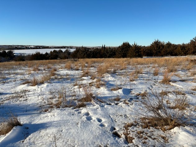 Image for 80+/- Acres in Buffalo County, NE