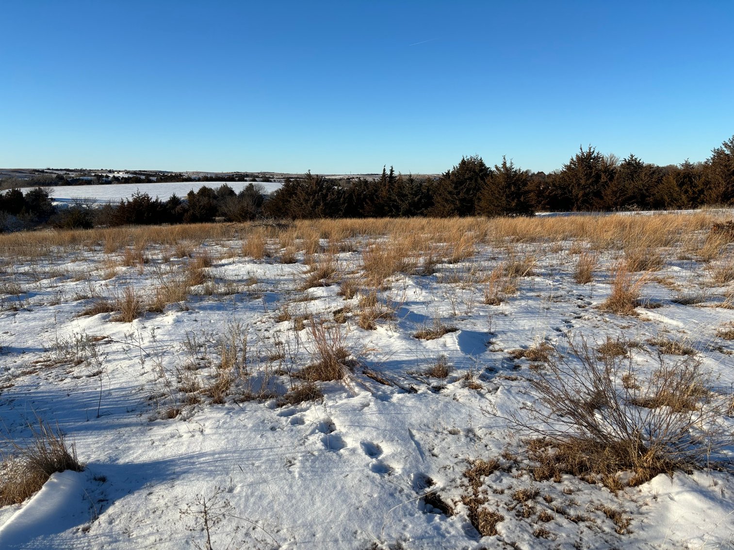 Image for 80+/- Acres in Buffalo County, NE