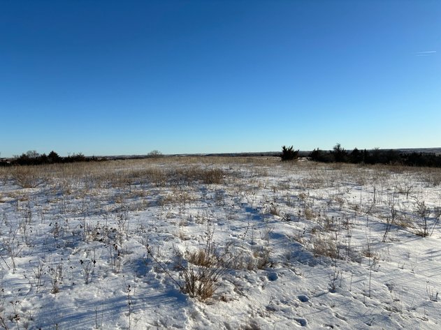 Image for 80+/- Acres in Buffalo County, NE