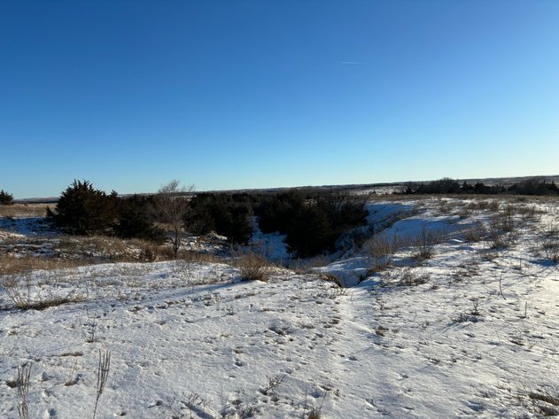 Image for 80+/- Acres in Buffalo County, NE