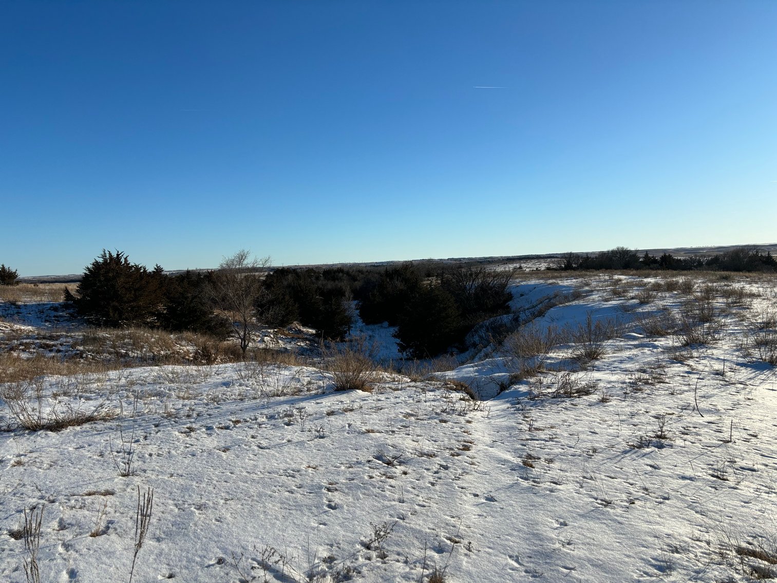 Image for 80+/- Acres in Buffalo County, NE