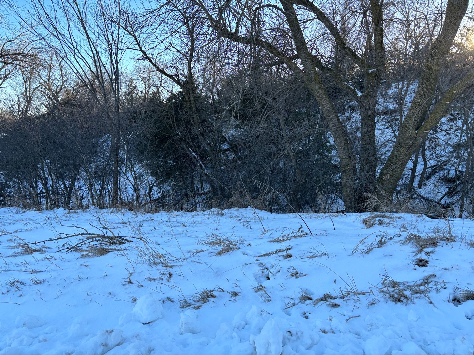 Image for 80+/- Acres in Buffalo County, NE