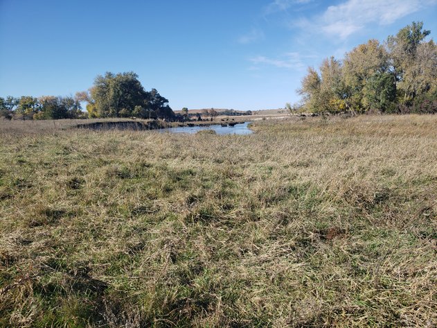 Image for 60+/- Acres in Buffalo County, NE