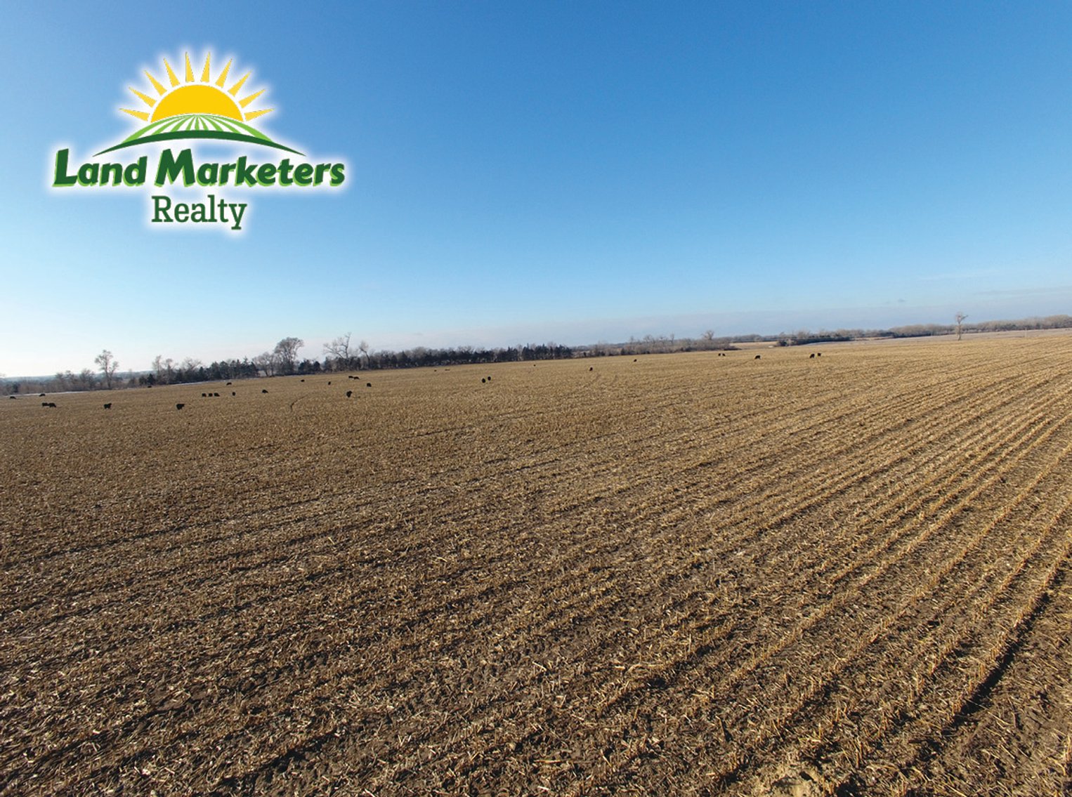Image for 160+/- Acres in Stanton County, NE