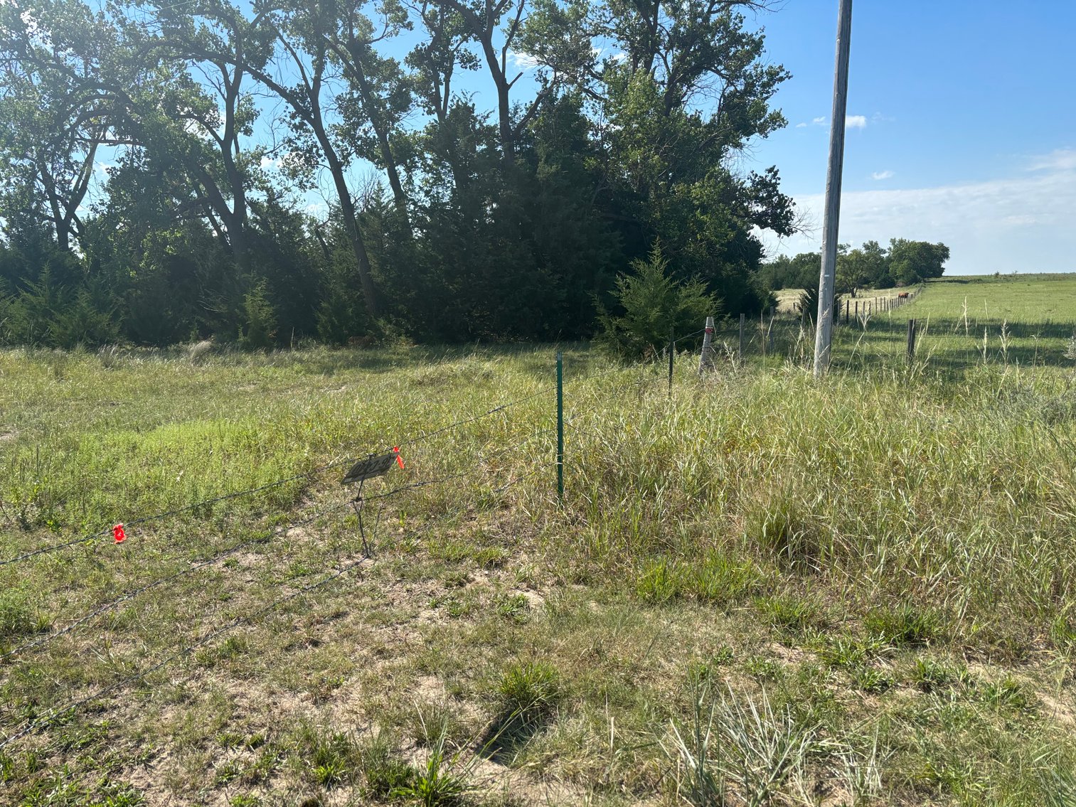 Image for 80+/- Acres in Northeastern Holt County, NE
