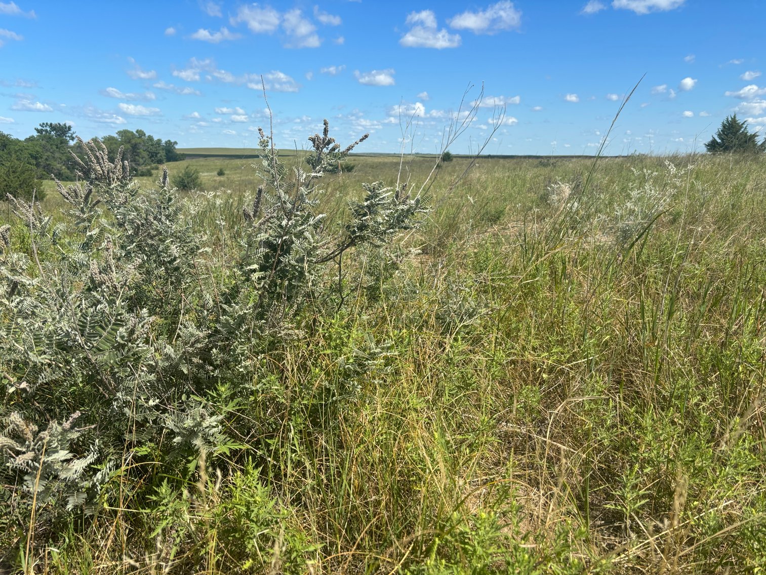 Image for 80+/- Acres in Northeastern Holt County, NE