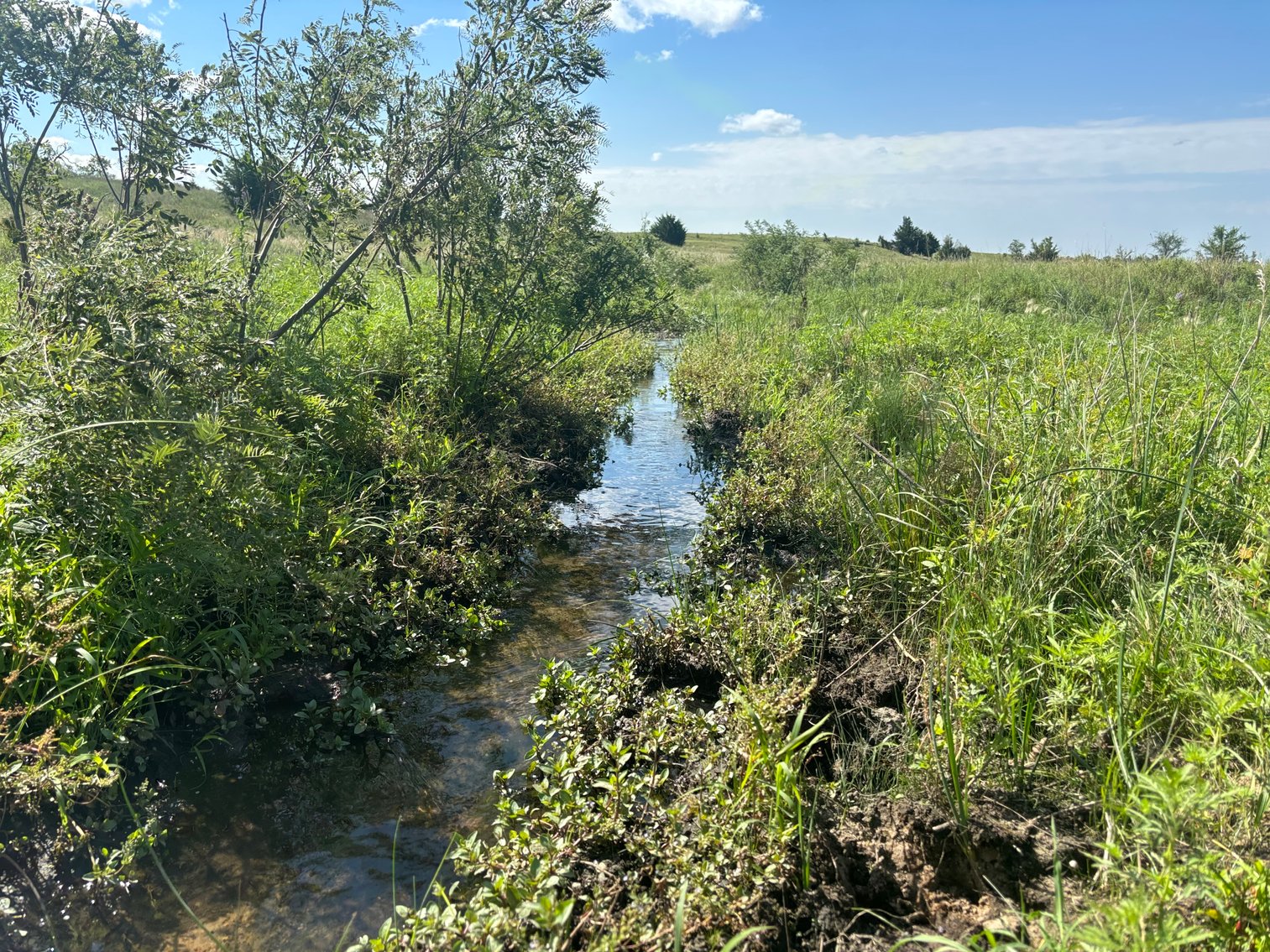 Image for 80+/- Acres in Northeastern Holt County, NE