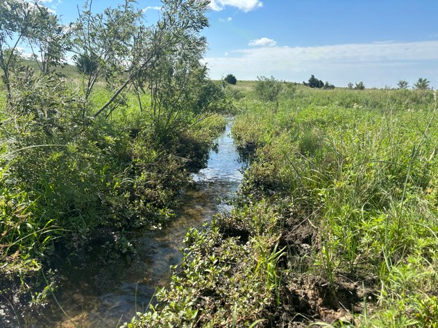 Image for 80+/- Acres in Northeastern Holt County, NE