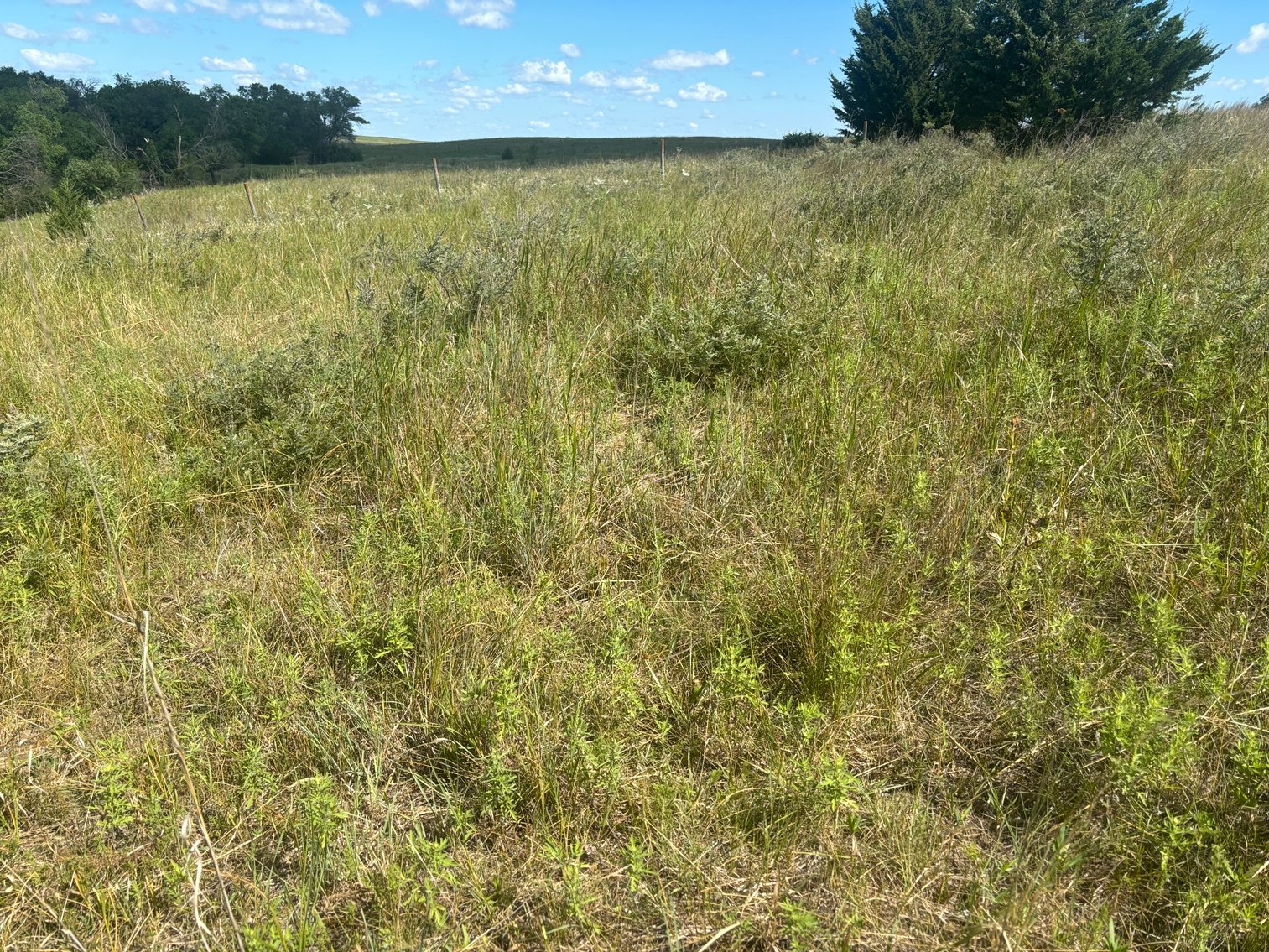Image for 80+/- Acres in Northeastern Holt County, NE