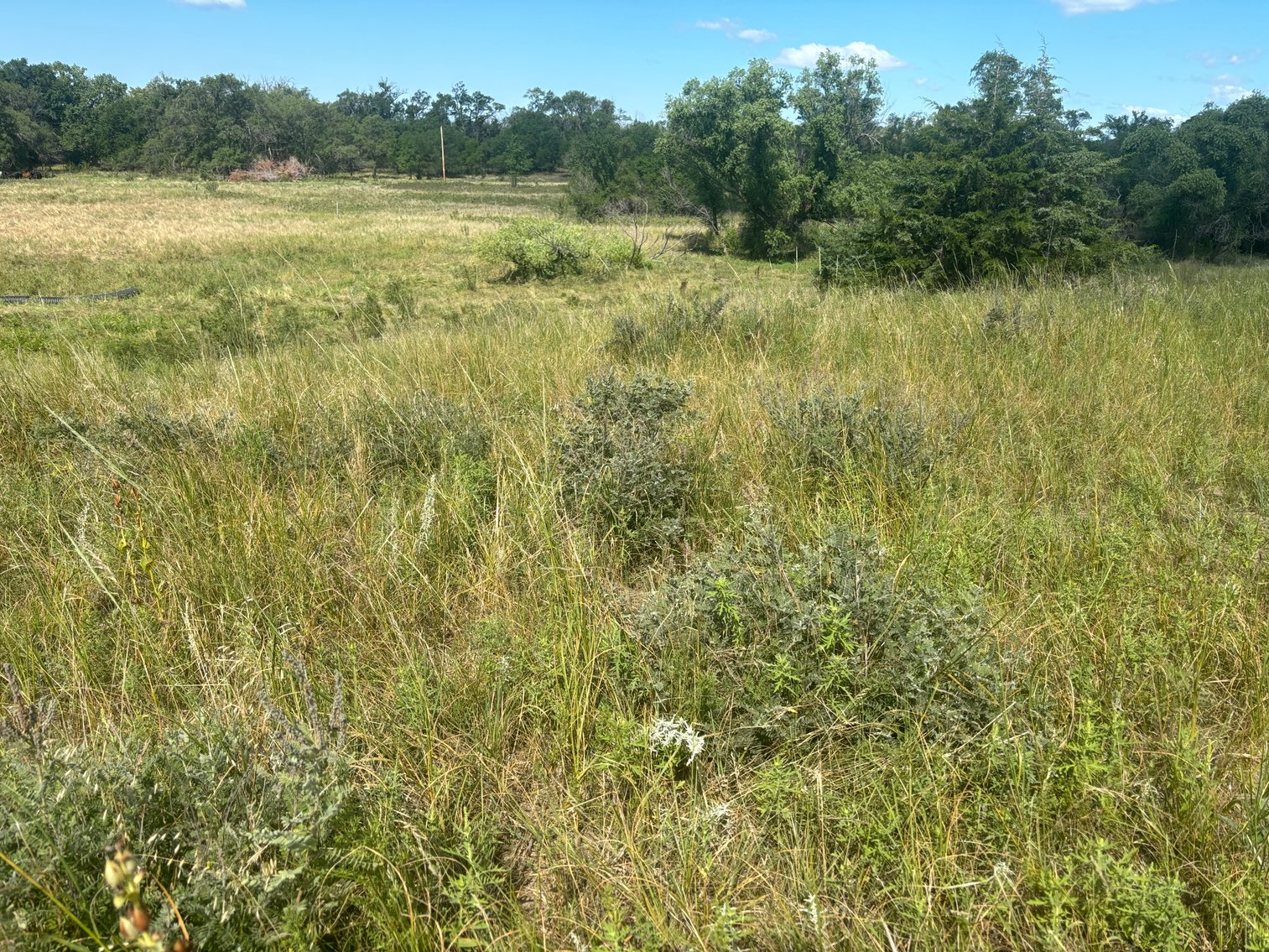 Image for 80+/- Acres in Northeastern Holt County, NE