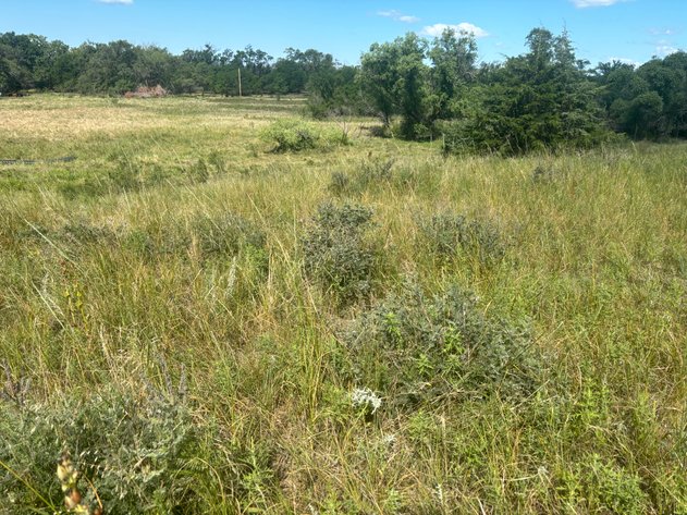 Image for 80+/- Acres in Northeastern Holt County, NE