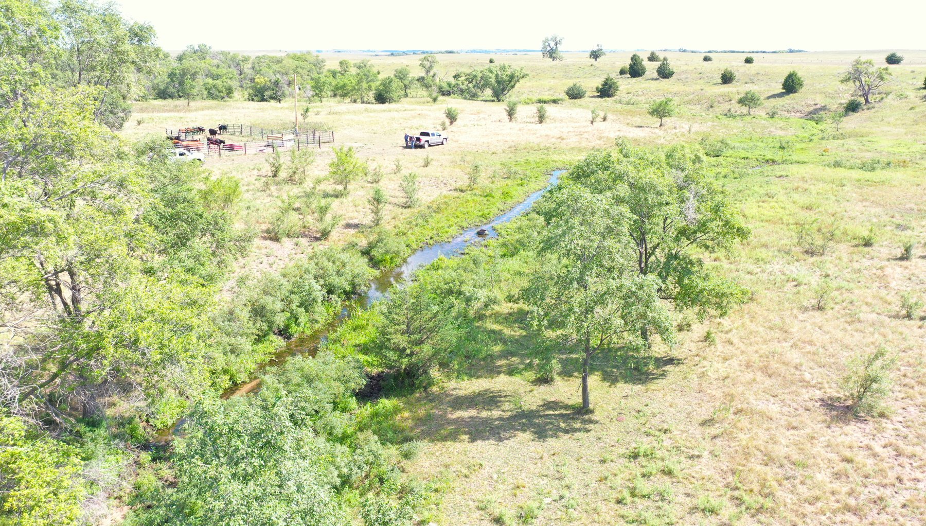 Image for 80+/- Acres in Northeastern Holt County, NE