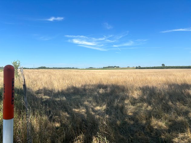 Image for 35.01+/- Deeded Acres in Holt County, NE located South of Page