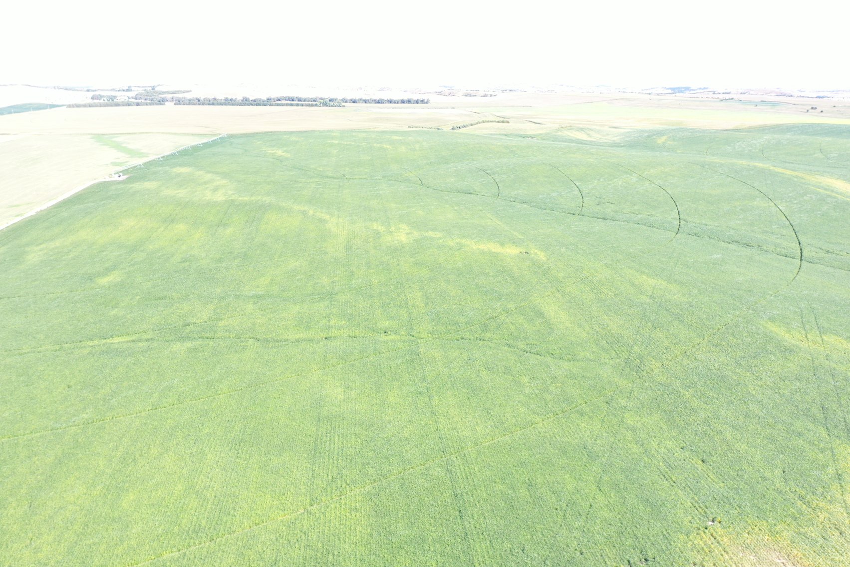 Image for 88.8 +/- Acres in Logan County, NE