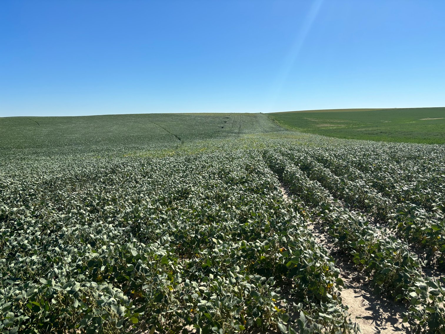 Image for 88.8 +/- Acres in Logan County, NE