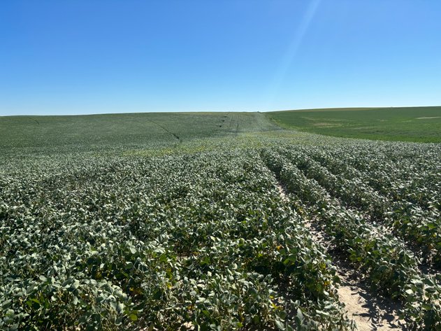 Image for 88.8 +/- Acres in Logan County, NE