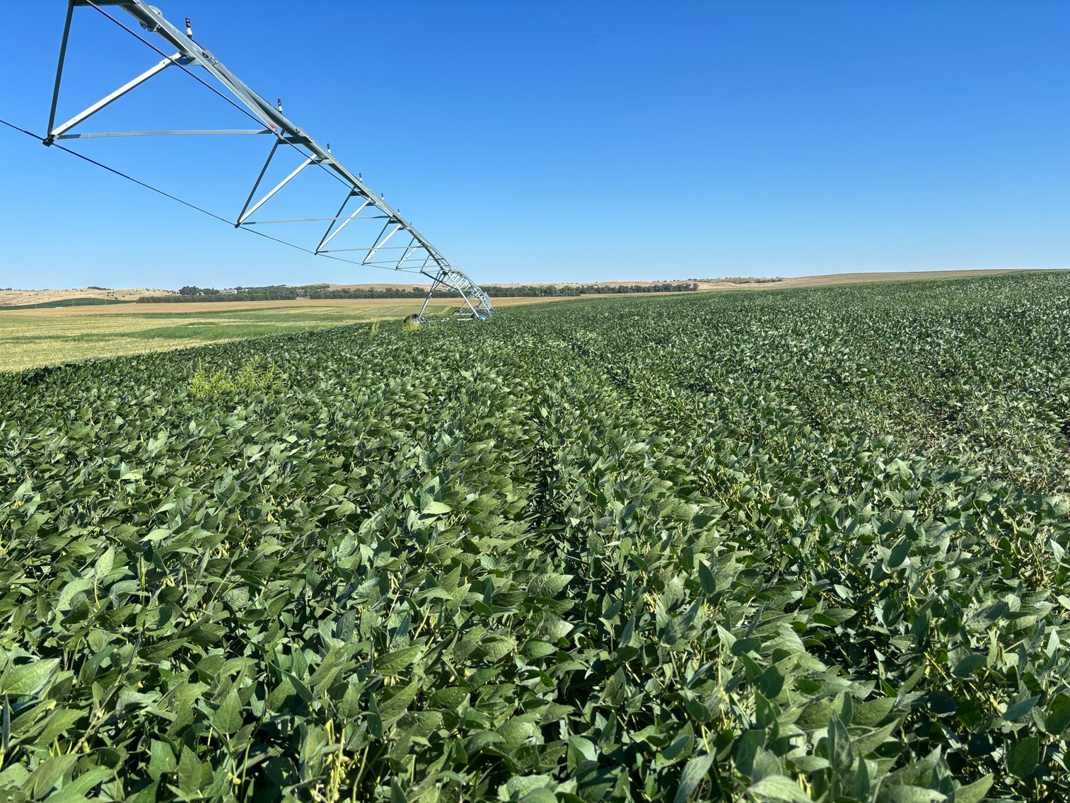 Image for 88.8 +/- Acres in Logan County, NE