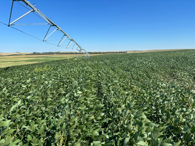 Image for 88.8 +/- Acres in Logan County, NE