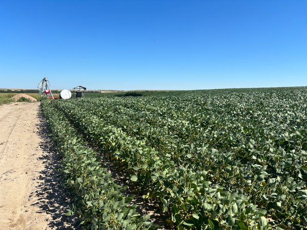 Image for 88.8 +/- Acres in Logan County, NE