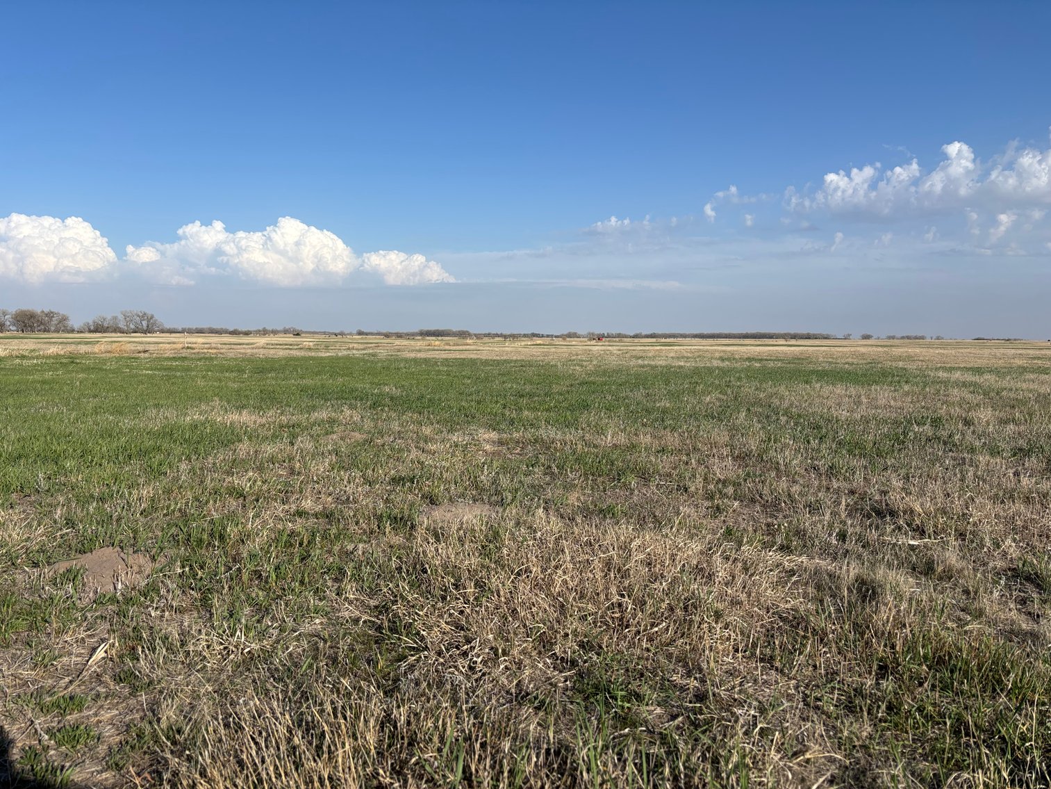 Image for 639.48+/- Acres in Southern Holt County, NE