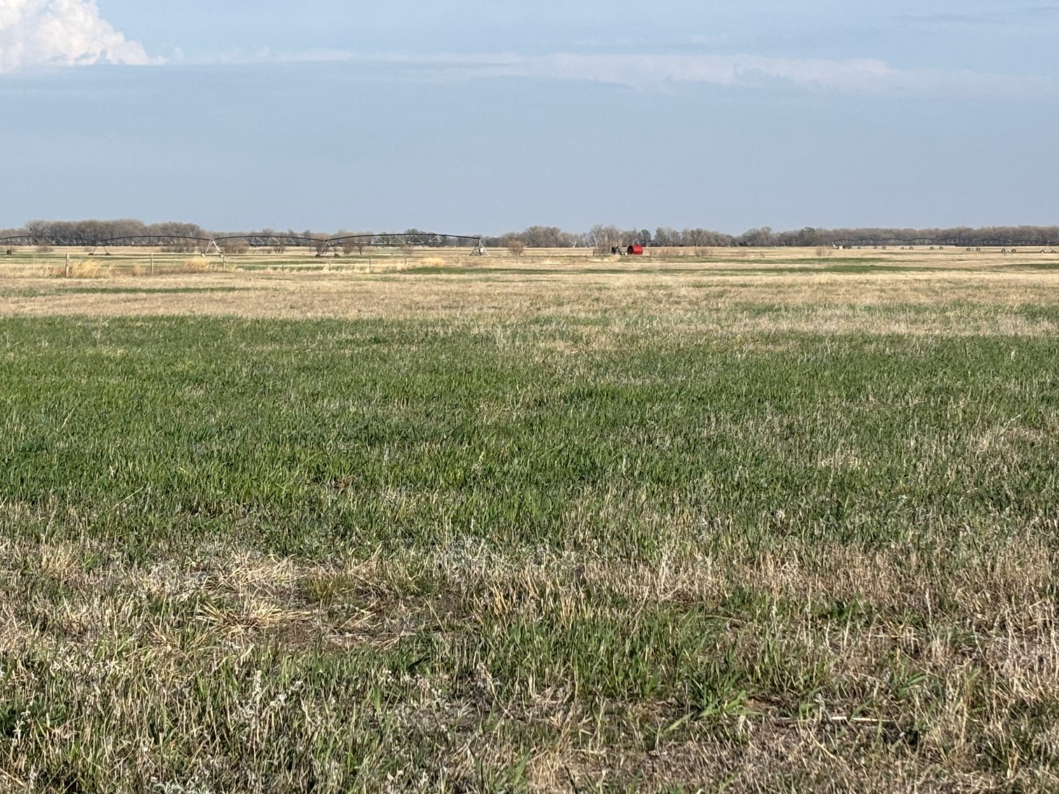 Image for 639.48+/- Acres in Southern Holt County, NE