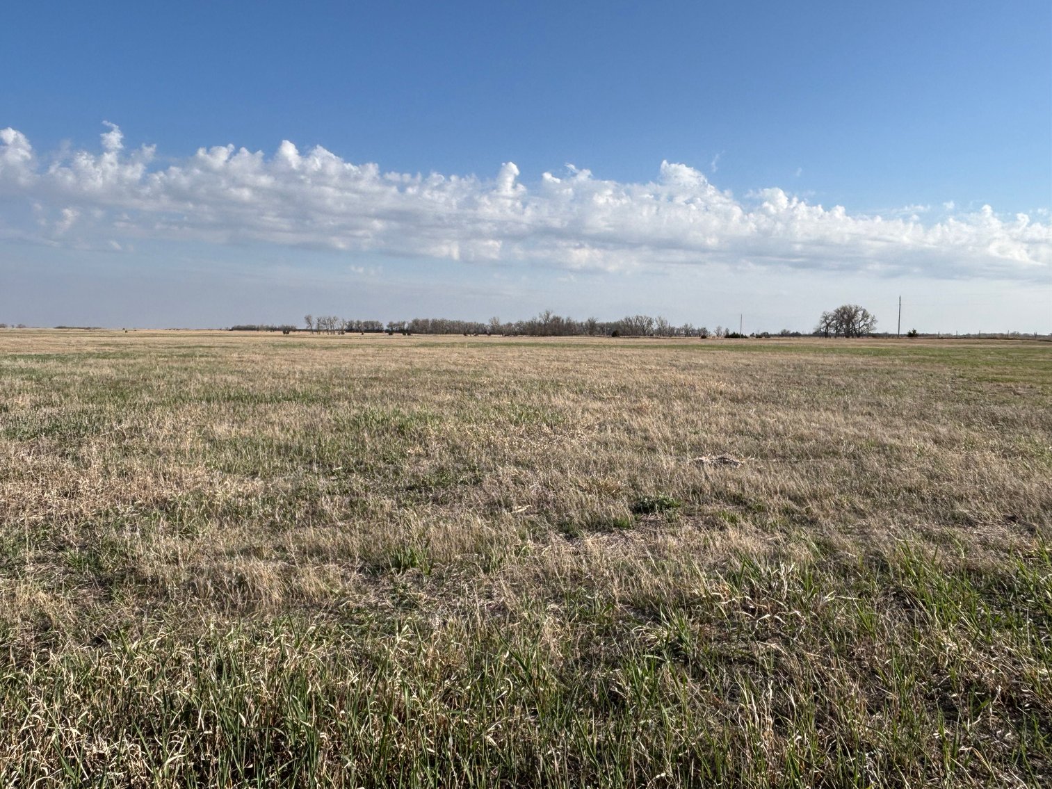 Image for 639.48+/- Acres in Southern Holt County, NE