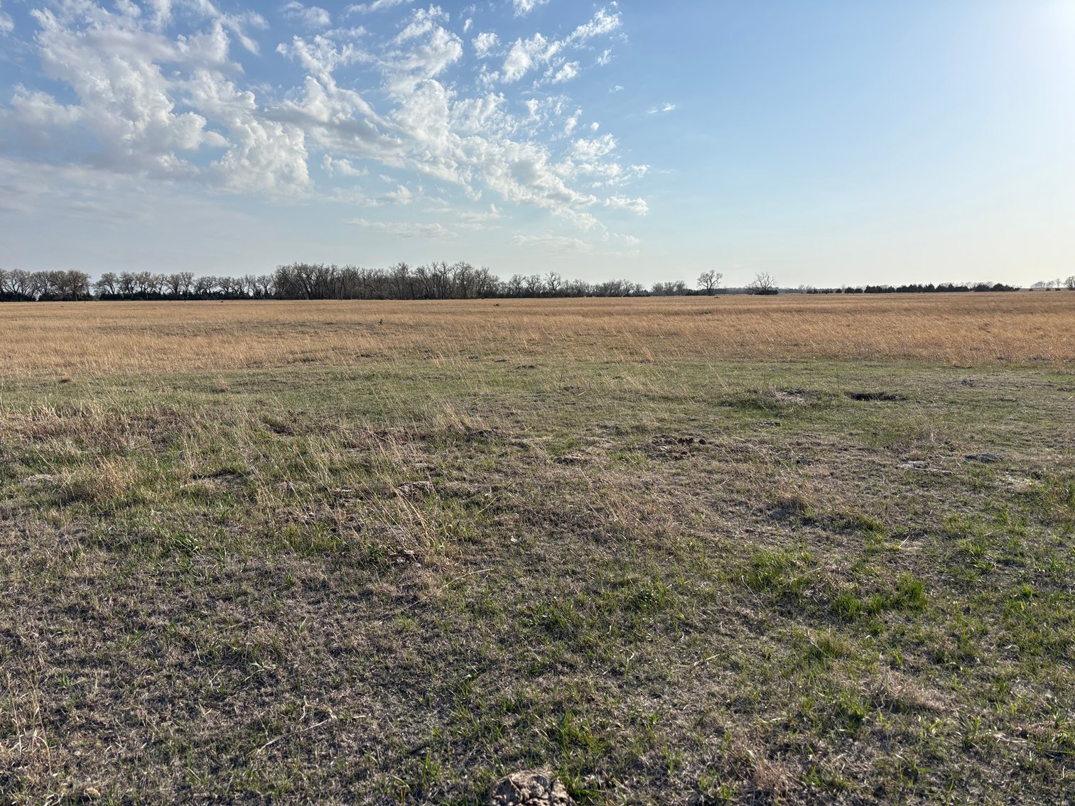 Image for 639.48+/- Acres in Southern Holt County, NE