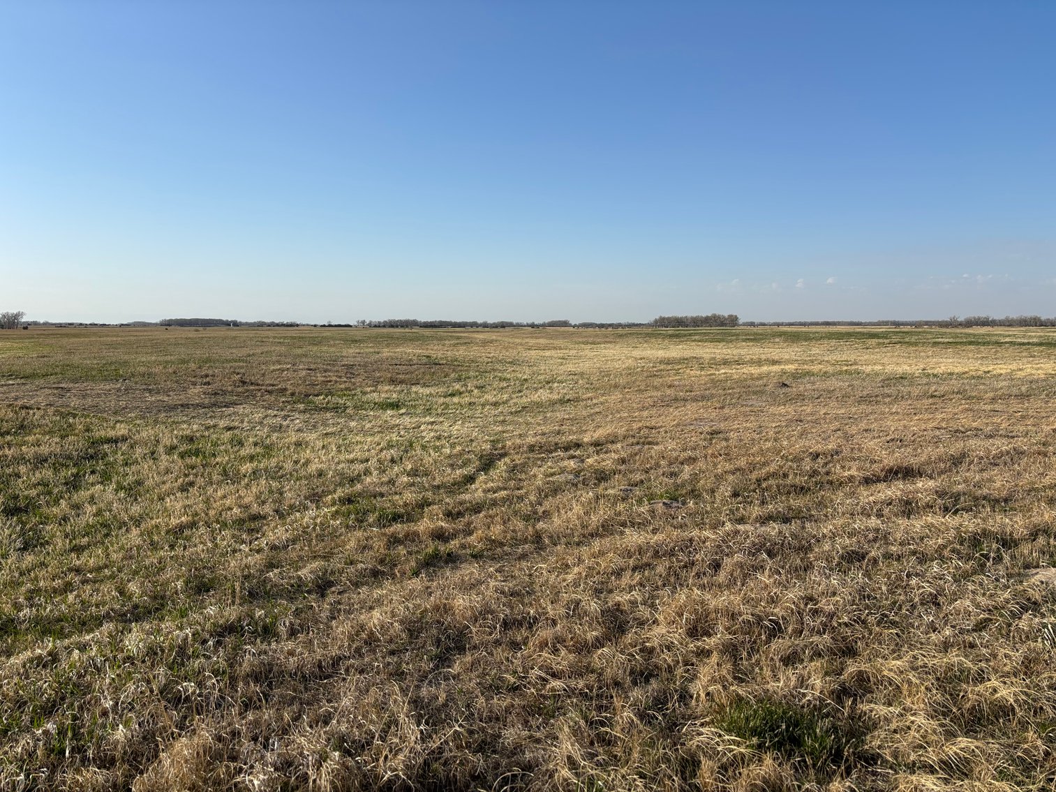 Image for 639.48+/- Acres in Southern Holt County, NE