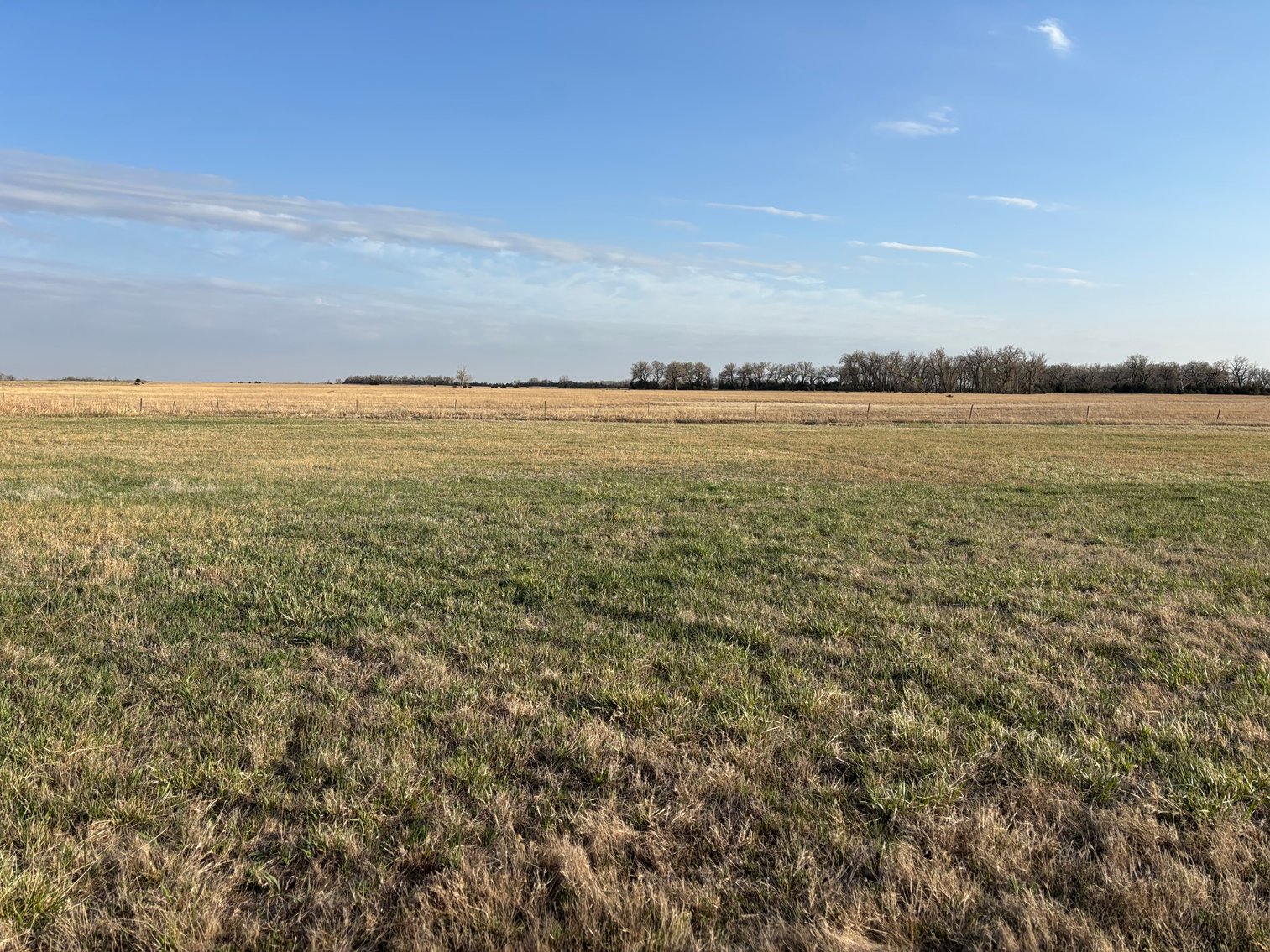 Image for 639.48+/- Acres in Southern Holt County, NE