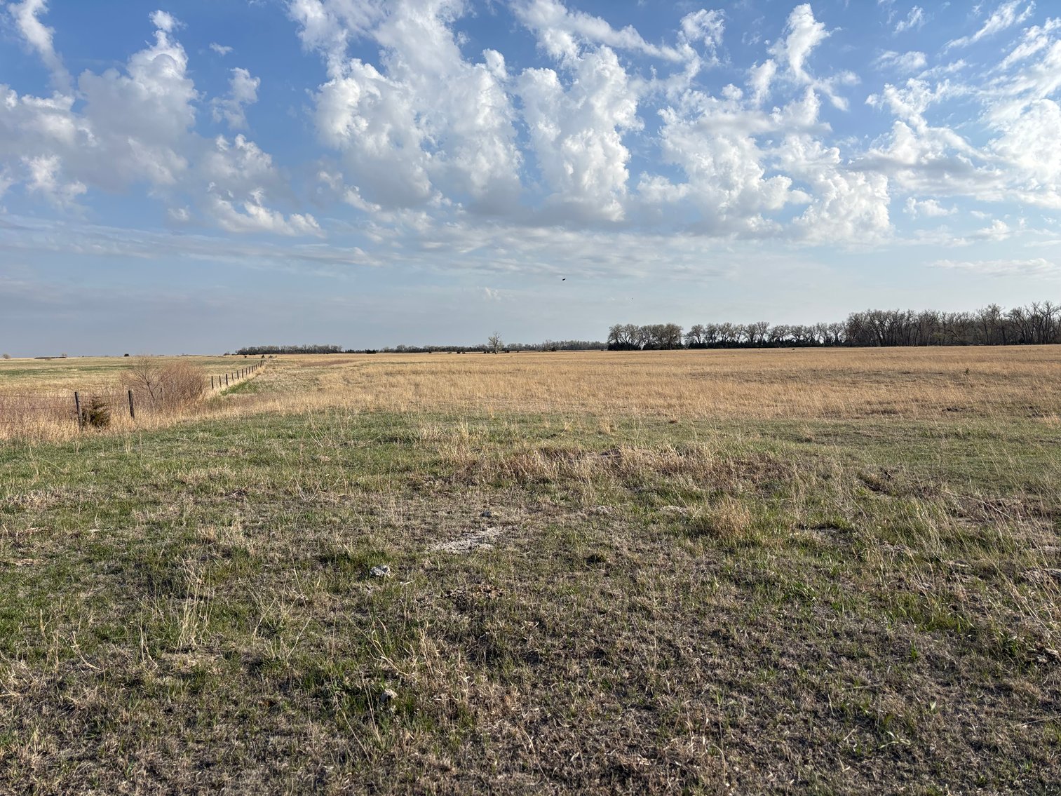 Image for 639.48+/- Acres in Southern Holt County, NE
