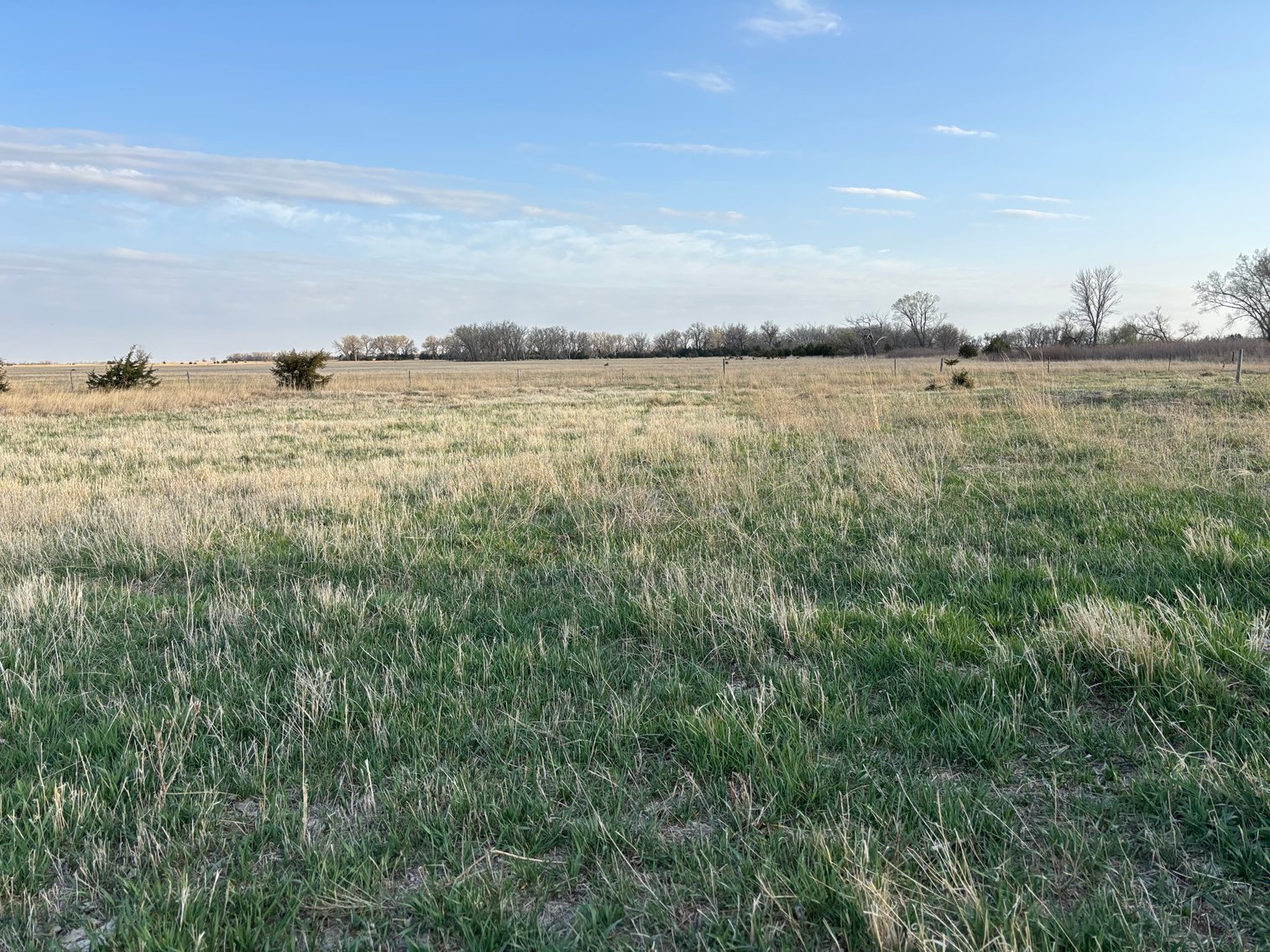 Image for 639.48+/- Acres in Southern Holt County, NE