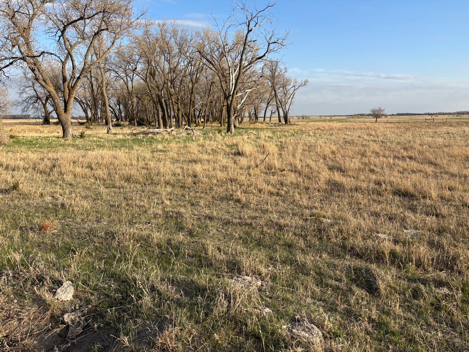 Image for 639.48+/- Acres in Southern Holt County, NE