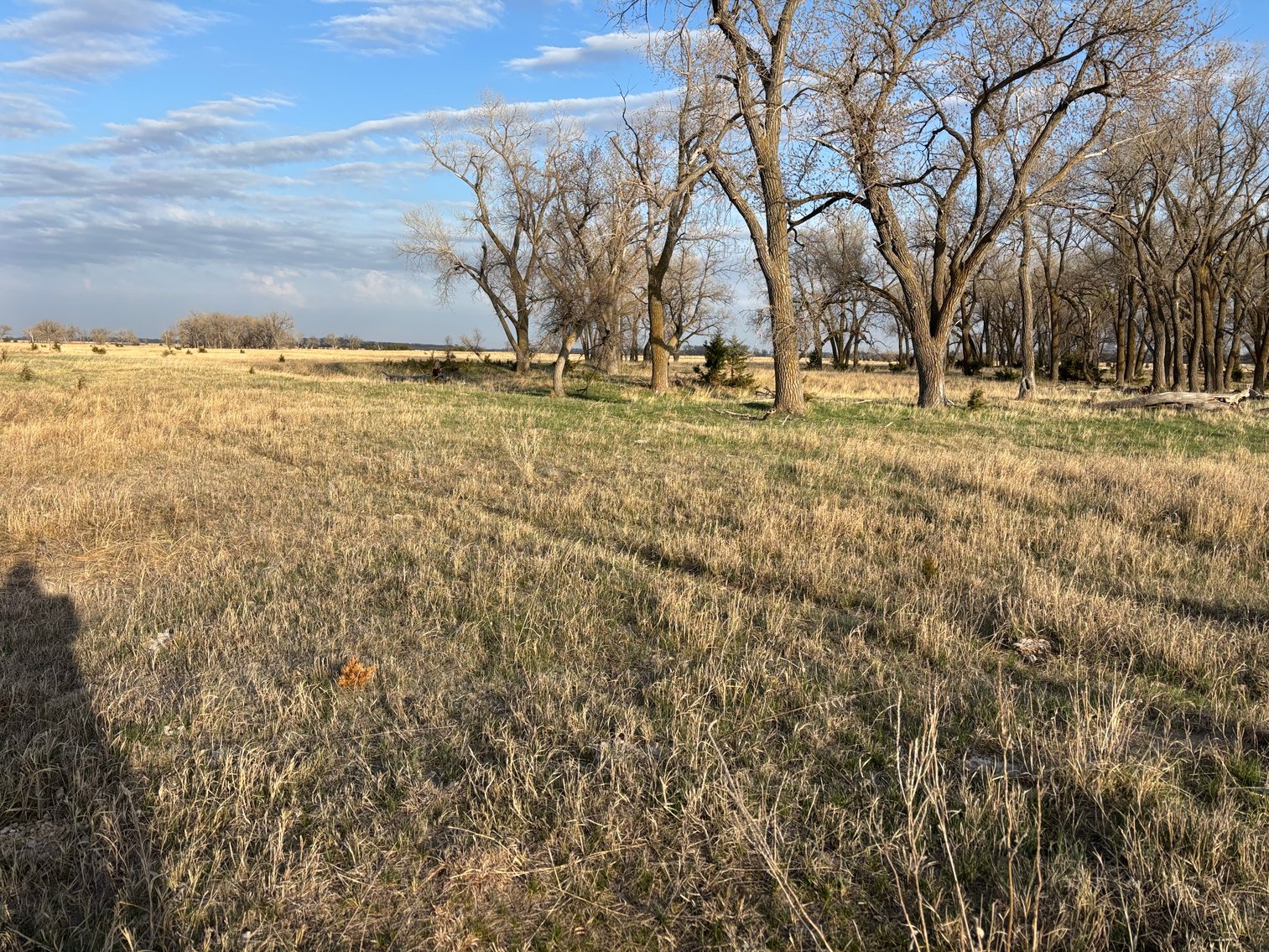 Image for 639.48+/- Acres in Southern Holt County, NE