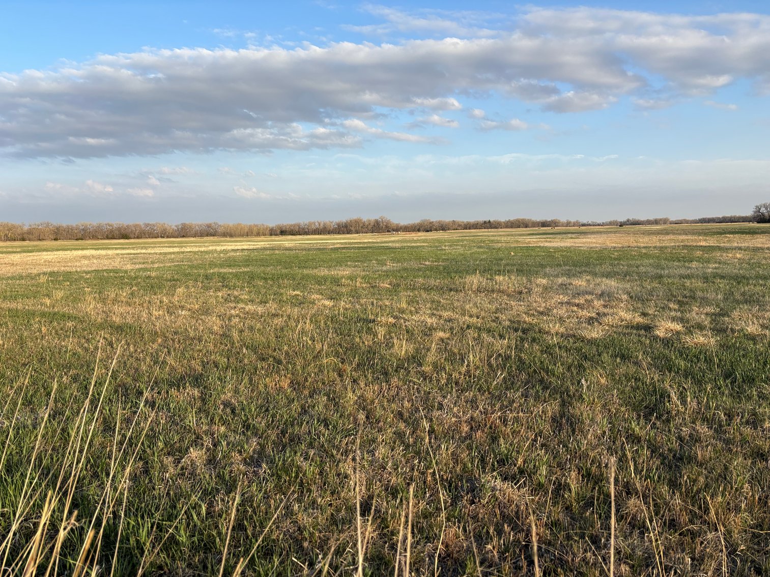 Image for 160+/- Acres in Southern Holt County, NE