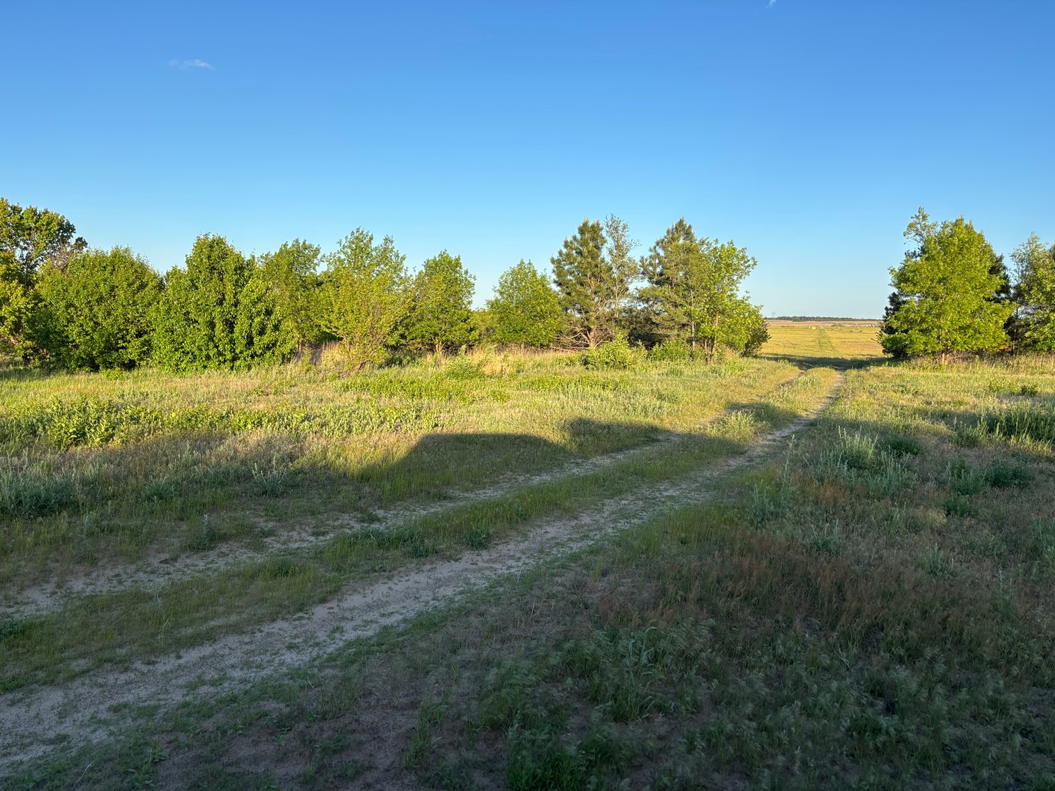 Image for 160+/- Acres in Holt County East of Page, NE