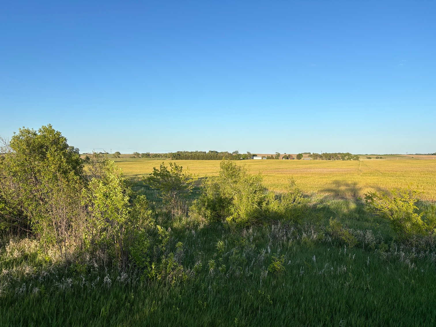 Image for 160+/- Acres in Holt County East of Page, NE
