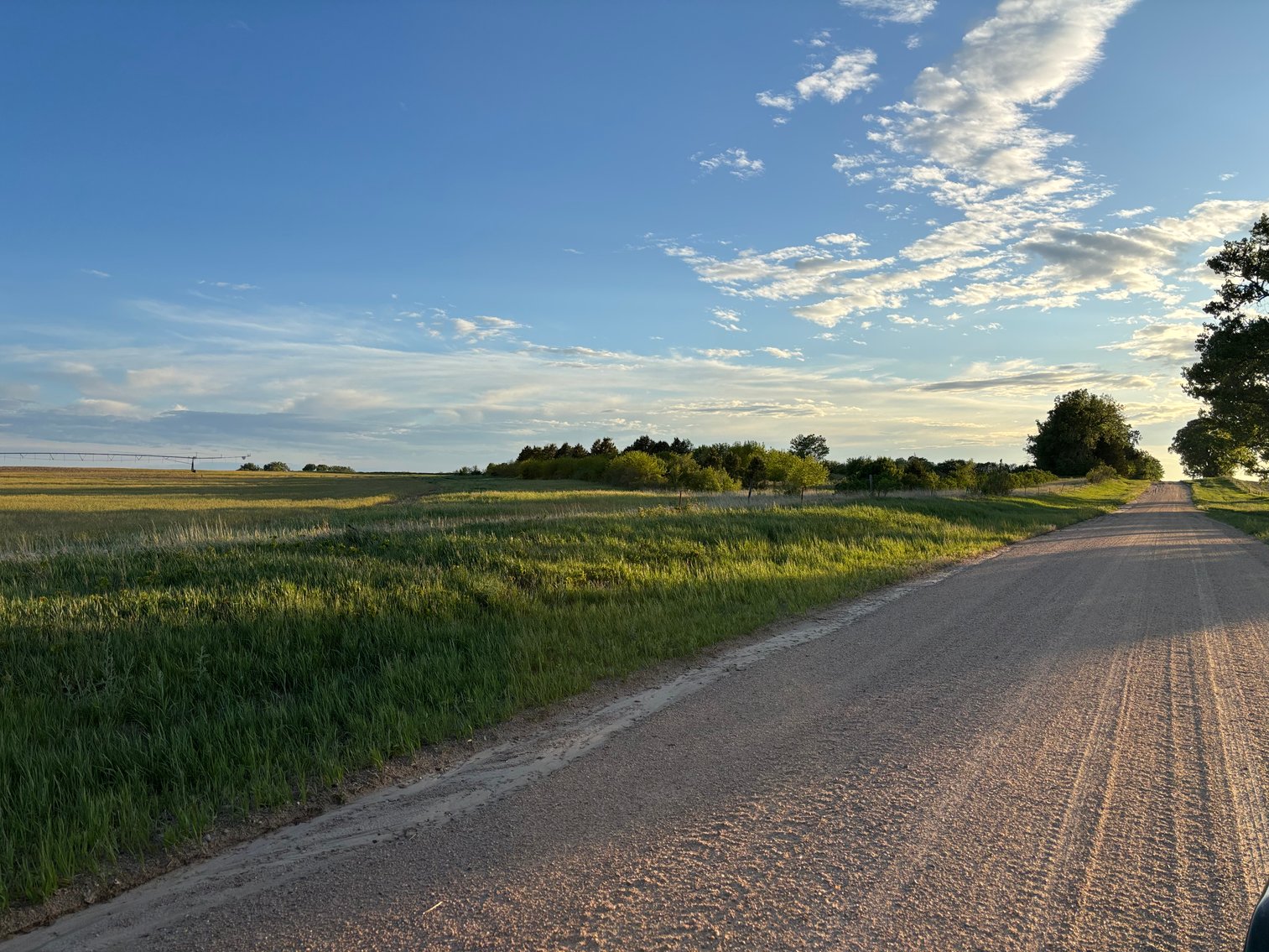 Image for 160+/- Acres in Holt County East of Page, NE