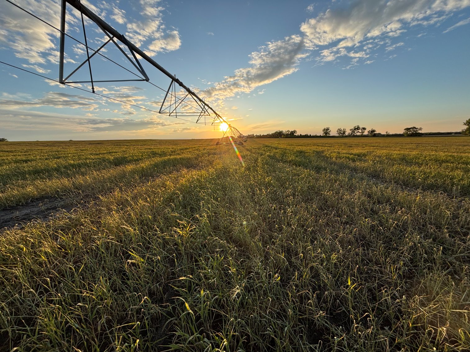 Image for 160+/- Acres in Holt County East of Page, NE