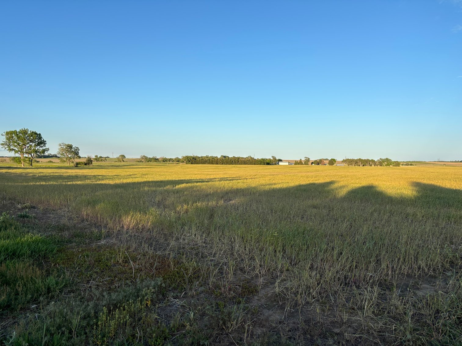 Image for 160+/- Acres in Holt County East of Page, NE
