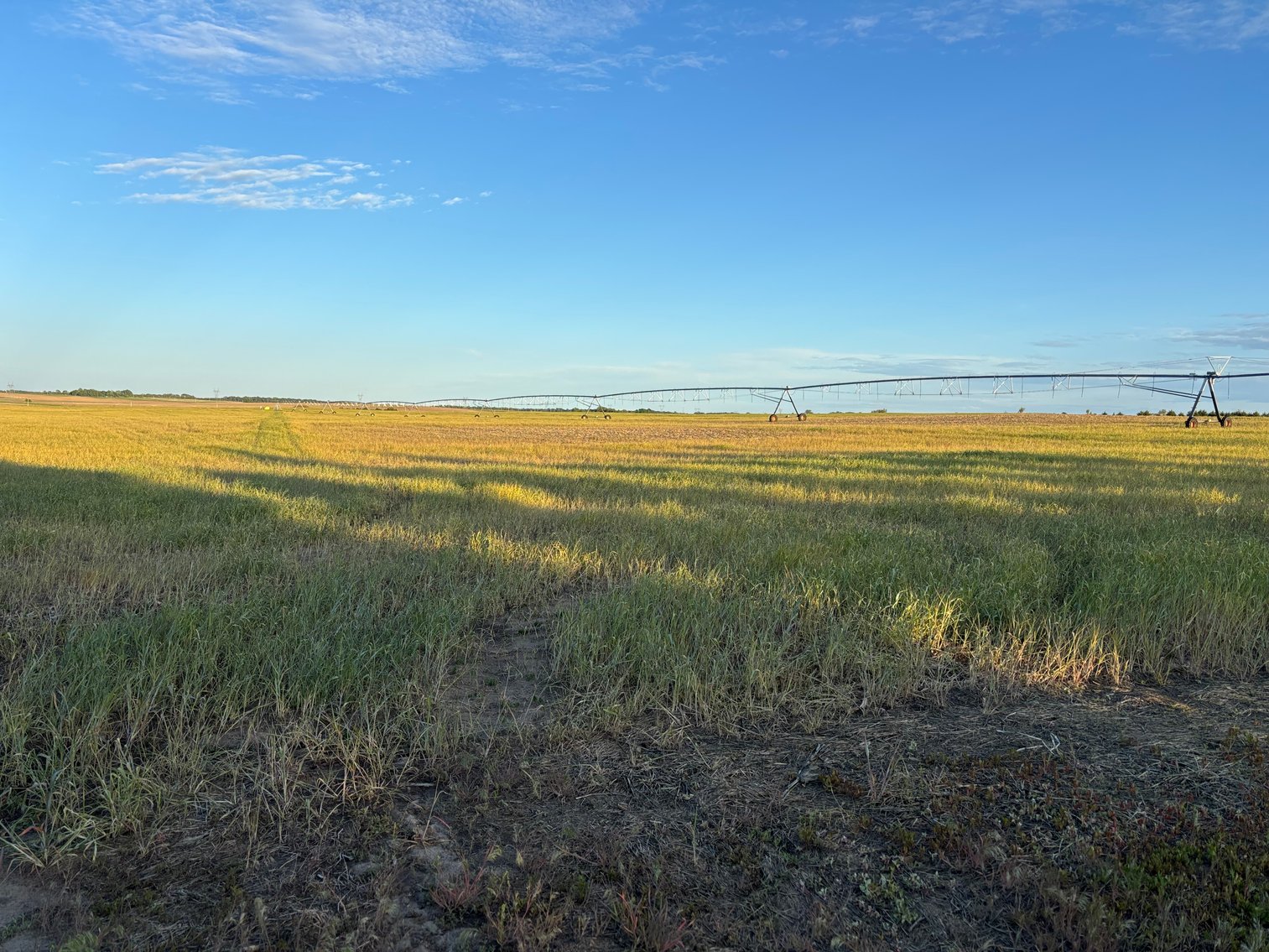 Image for 160+/- Acres in Holt County East of Page, NE