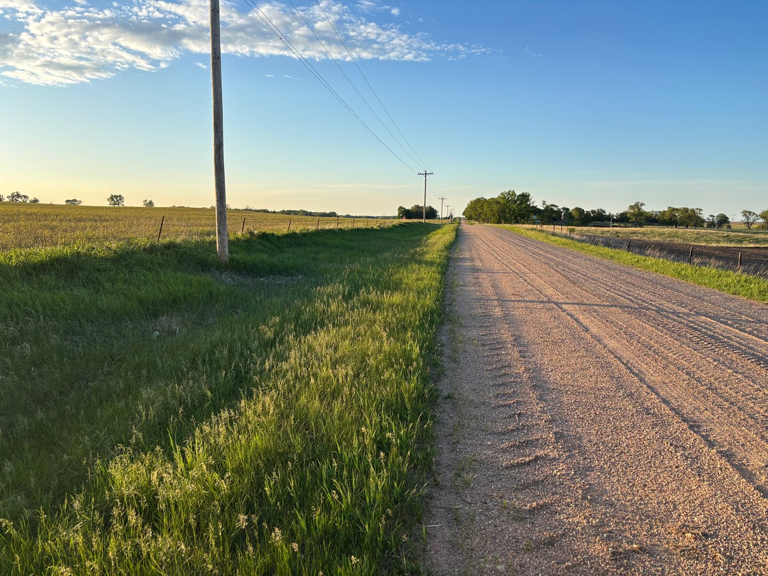 Image for 160+/- Acres in Holt County East of Page, NE