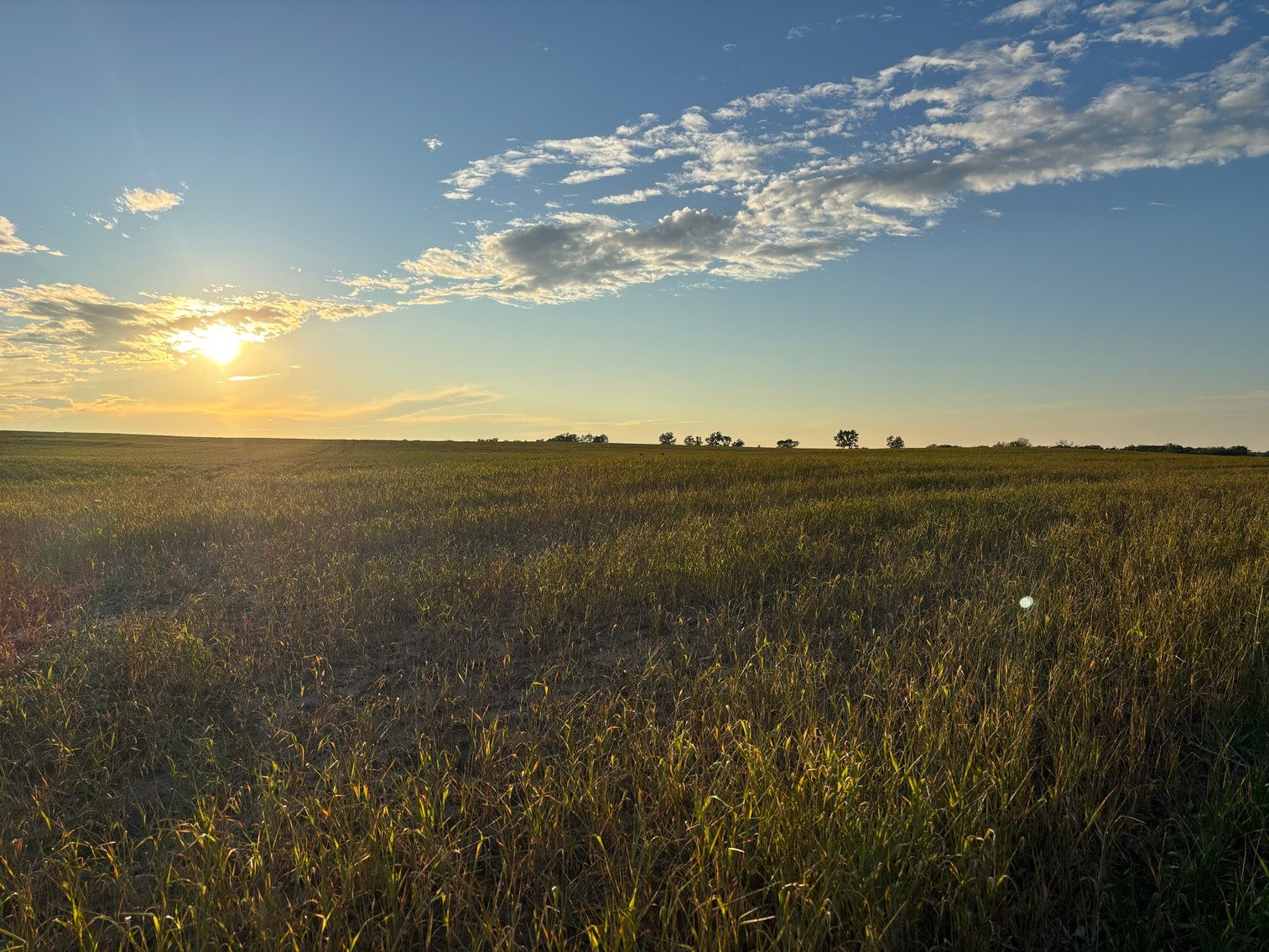 Image for 160+/- Acres in Holt County East of Page, NE